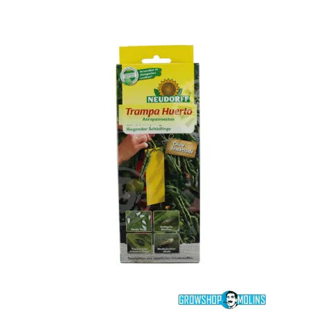 Trampes Adhesives Grogues per a testos