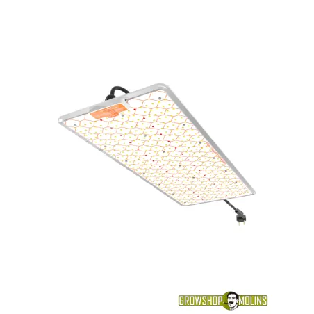 Ignator HeroLed F240W