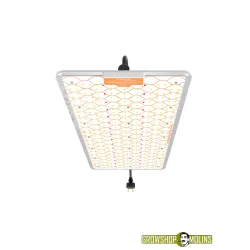 Ignator HeroLed F240W