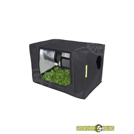 Probox Propagator armari per a esqueixos - Grow Shop Molins