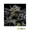 Zombie Kush