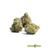 Cogollos CBD Amnesia