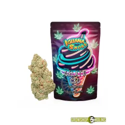 Flors CBD Gelato [Iguana Smoke] - Grow Shop Molins
