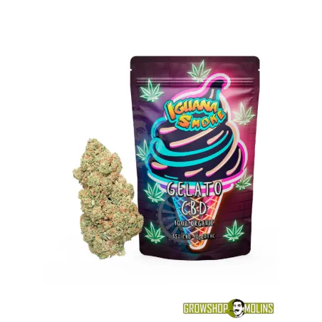 Flors CBD Gelato [Iguana Smoke] - Grow Shop Molins