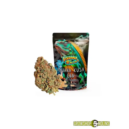 Flors CBD Iguana Kush