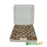 Plug 30 Caja de 50 Unidades