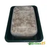Kit Cultivo de Setas Básico