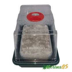 Kit Cultivo de Setas Básico