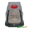 Kit Cultivo de Setas Básico