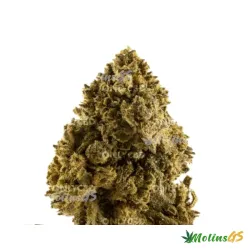 Cabdells CBD Zkittlez