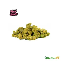 Mini Brains CBD 25gr