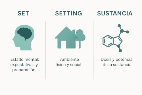 Infografía que resumeix set, setting y susbtància en l'ús responsable de psilocibina